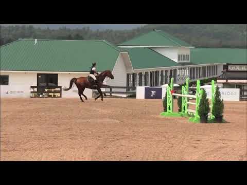 Tinka’s Soldier video 2