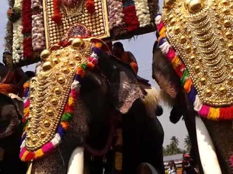 Vallakki Elephants are lineing in the pandal