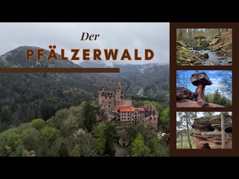 Der Pfälzerwald. Wandern im Dahner Felsenland