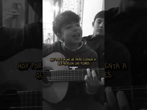 Carlos Prieto - “Ay quiero que te pongas guapa mi vida esta noche…” 🎶🥰 • #flamenco24h