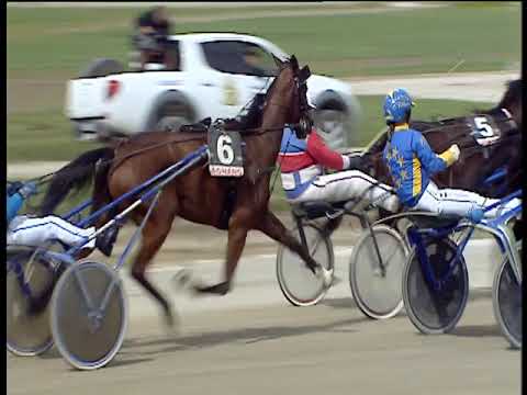 Trotto 07/04/2019 - 2ª corsa