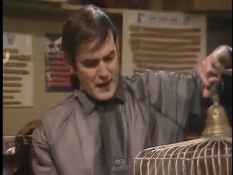 Monty Python – Mrtvý papoušek