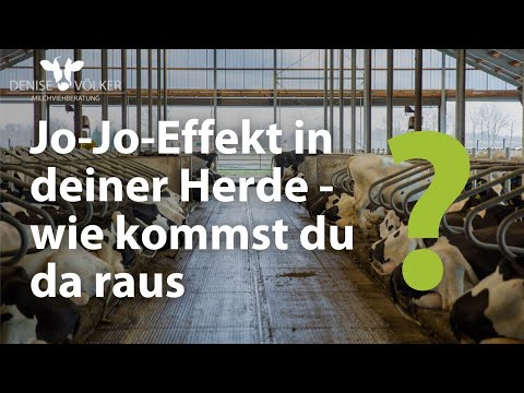 Jo-Jo-Effekt in deiner Herde - wie kommst du da raus?