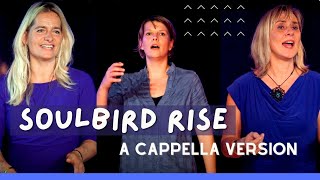 Soulbird Rise (India Arie) - A Cappella Cover by Corinne, Inge &amp; Britta