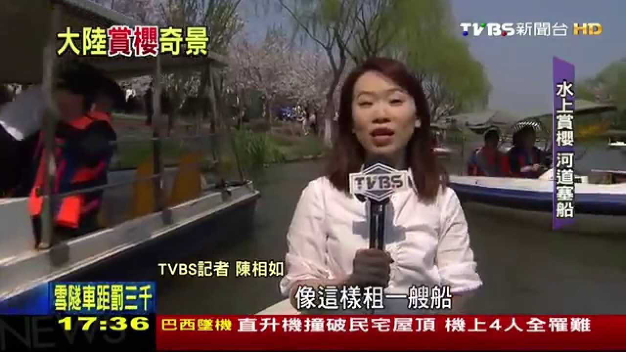 春日花如雪!陸賞櫻熱 水上賞櫻免走路