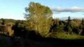 preview picture of video 'View From Waitomo Caves Lookout'