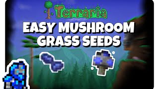 How to easily get mushroom grass seeds! | Terraria Tutorial!
