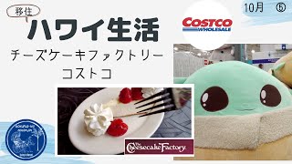 【移住夫婦】チーズケーキファクトリー&コストコ感染予防対策中の買い物 密着・購入品紹介！ハワイ主婦ルーティン｜ ロックダウンのハワイ移住リアル生活２人暮らし｜hawaii/vlog＃stayhome