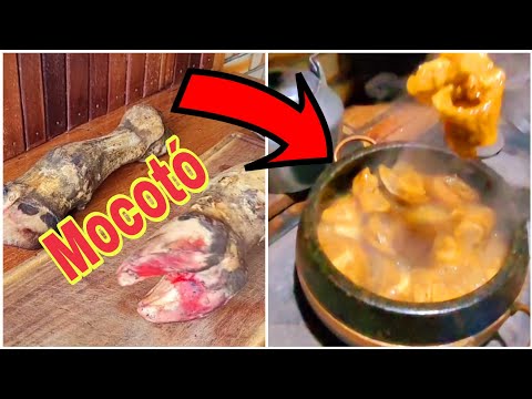 Fazendo mocotó no fogão a lenha vem cozinhar comigo