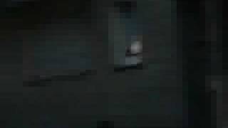 V.I.G. - Die Hunde seid ihr