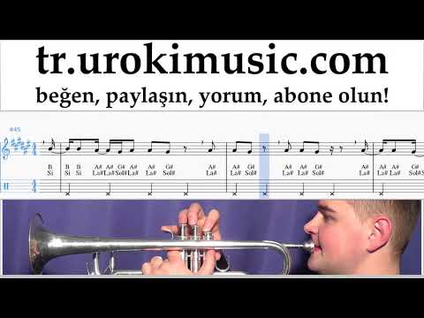 Trompet dersleri Luis Fonsi, Stefflon Don - Calypso Notalar Eğitim um-ih723