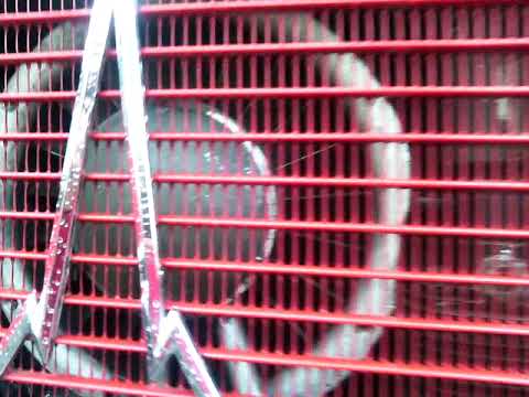 Magirus V8 Motorsound