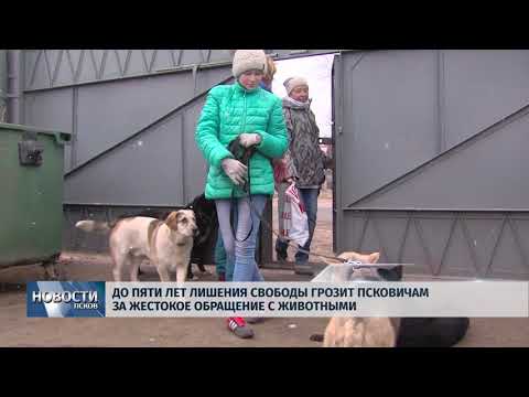  27.02.2018 # До пяти лет тюрьмы грозит псковичам за жестокое обращение с животными