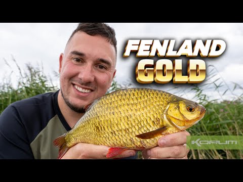 Fenland Gold - Big Rudd