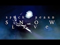 Spock's Beard: Snow Live - Solitary Soul
