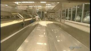 How It's Made Mozzarella cheese