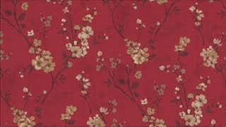 luchs // her eyes the stars