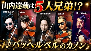 Download lagu 山内5人兄弟集結！？【パッヘルベルのカノン Johann Pachelbel Canon】 mp3