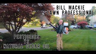 How To Kill Fleas, Ticks and Mosquitos Safely with Natural Cedar Oil