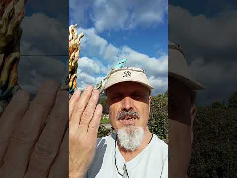 Lago Puelo, mates y reflexiones.