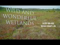Wild and Wonderful Wetlands - Alder Run Bog