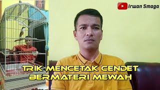 Download lagu 🔴TIPS MENCETAK BURUNG CENDET SAPUDI AGAR PUNYA MATERI BAGUS❗ mp3