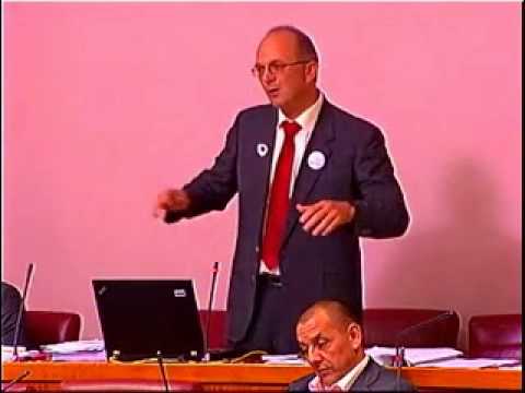 Replika Dražena Đurovića Jadranki Kosor, sabor 11.7. 2013