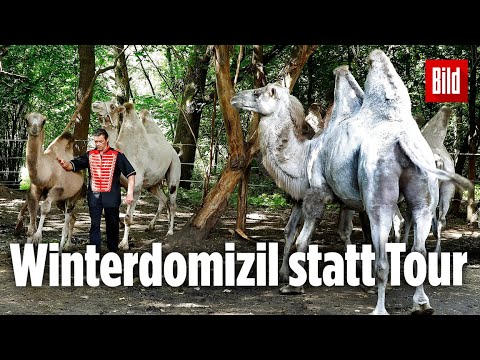 Traditions-Zirkus May vor dem Ruin