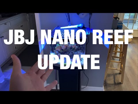 JBJ 12 Gallon Tank Update!