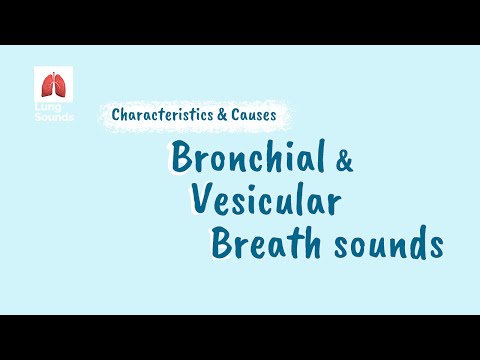 Breath Sounds - Vesicular vs Bronchial