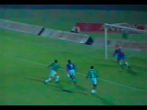 PALMEIRAS 2x3 CRUZEIRO - Campeonato Brasileiro Série A 1995 - Globo Esporte