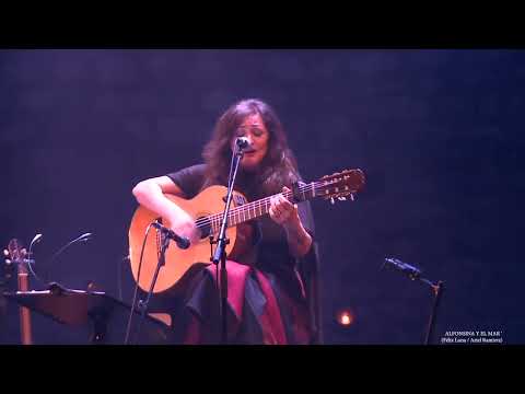 Voir la bande-annonce