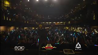 elephant man destroyed Boston signal di plane