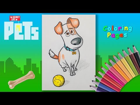 Coloring Max From #TheSecretLifeofPets.  Coloring #forkids Draw with pencils. Video
