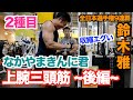 【上腕三頭筋】このフォームは異次元の収縮です。鈴木雅選手の上腕三頭筋、絶対デカくなれる究極の2種目です。