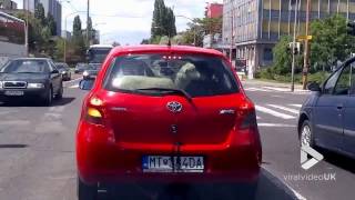 faze tari oaia in masina