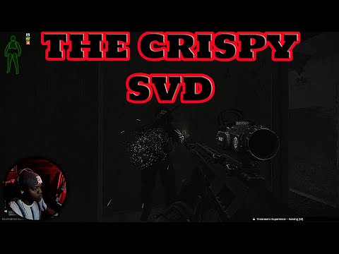 Punisher Tasking | SVD Kills | Escape From Tarkov