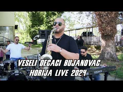 VESELI DECACI HORIJA 2024 HIT / STUDIO DENIS / ♫ █▬█ █ ▀█▀♫ ▀ © 2024