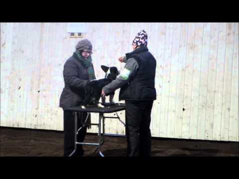 Match Show @ Kempele 6.1.2014