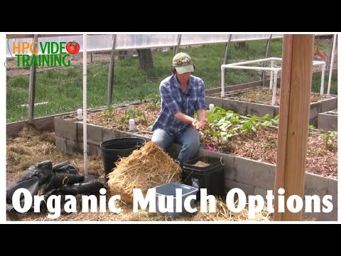 Organic Mulch: The Gardener's Secret Weapon | Vibepedia