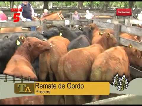 PRECIOS DEL REMATE DE GORDO DE SIVERO  12 04 16  mp4