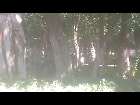 general Cepeda  Coahuila  😍