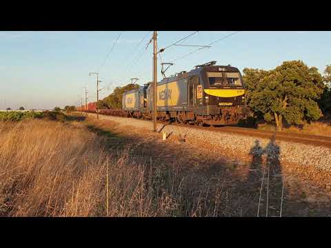 Comboio de Contentores n.º 51390/1 - Fernando Pó