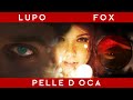 Lupo 2 0 Kitsune Aka Fox Pelle D Oca Official Music Video