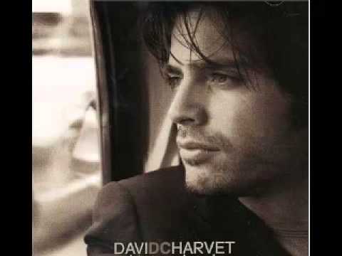 David Charvet - Should I Leave (OFFICIAL Video