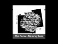 The Snow - Memory Loss 