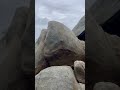 Lambert Beach Rocks
