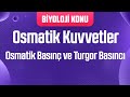 Osmatik Kuvvetler : Osmatik Basınç , Turgor Basıncı , Emme Kuvveti