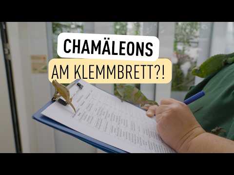 Wir haben über 6000 Tiere gezählt I Tiergarten Schönbrunn