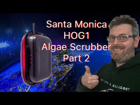 Santa Monica HOG 1 Review algae scrubber